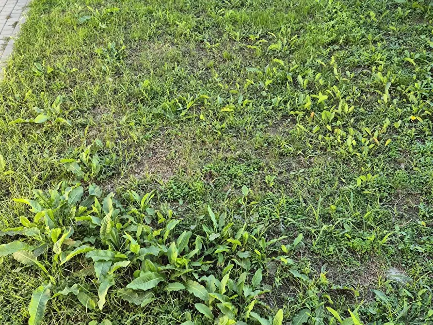 Immagine 16 di Appartamento in vendita  a Santa Croce Sull'arno