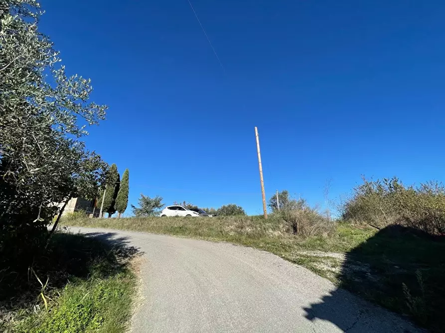 Immagine 21 di Casa colonica in vendita  a Siena