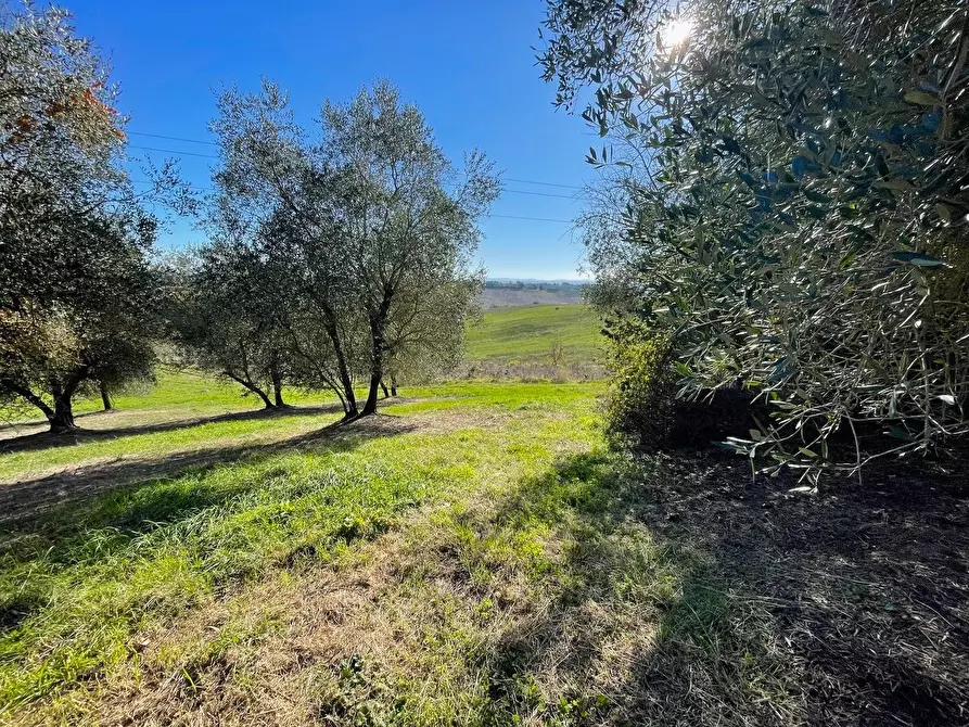 Immagine 6 di Casa colonica in vendita  a Siena