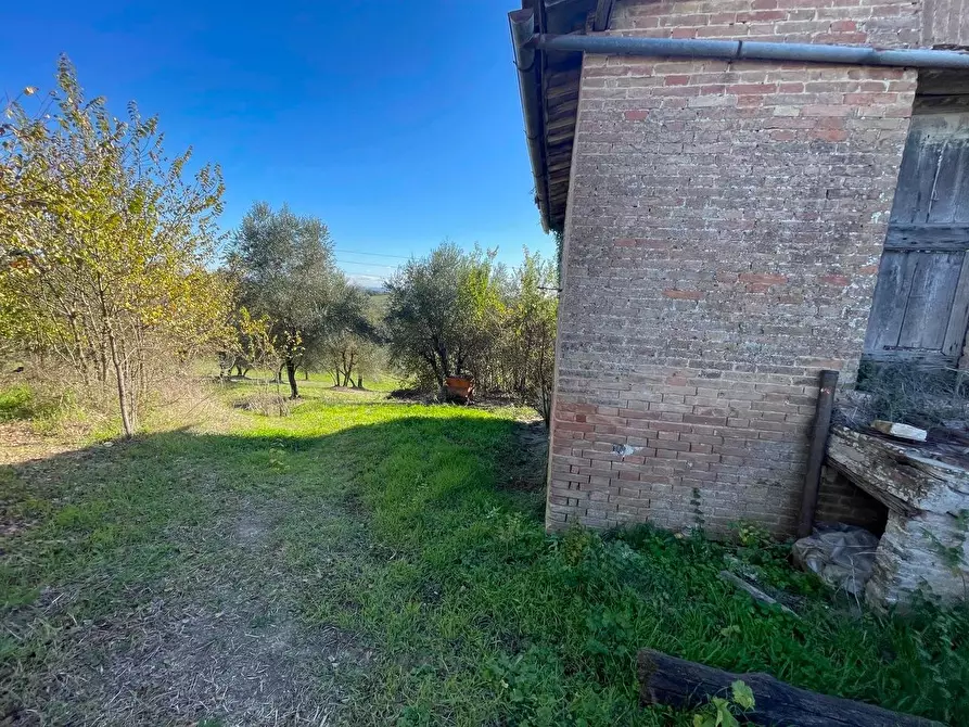 Immagine 26 di Casa colonica in vendita  a Siena