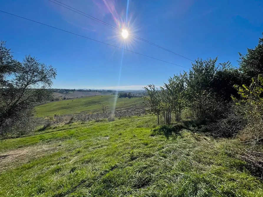 Immagine 8 di Casa colonica in vendita  a Siena