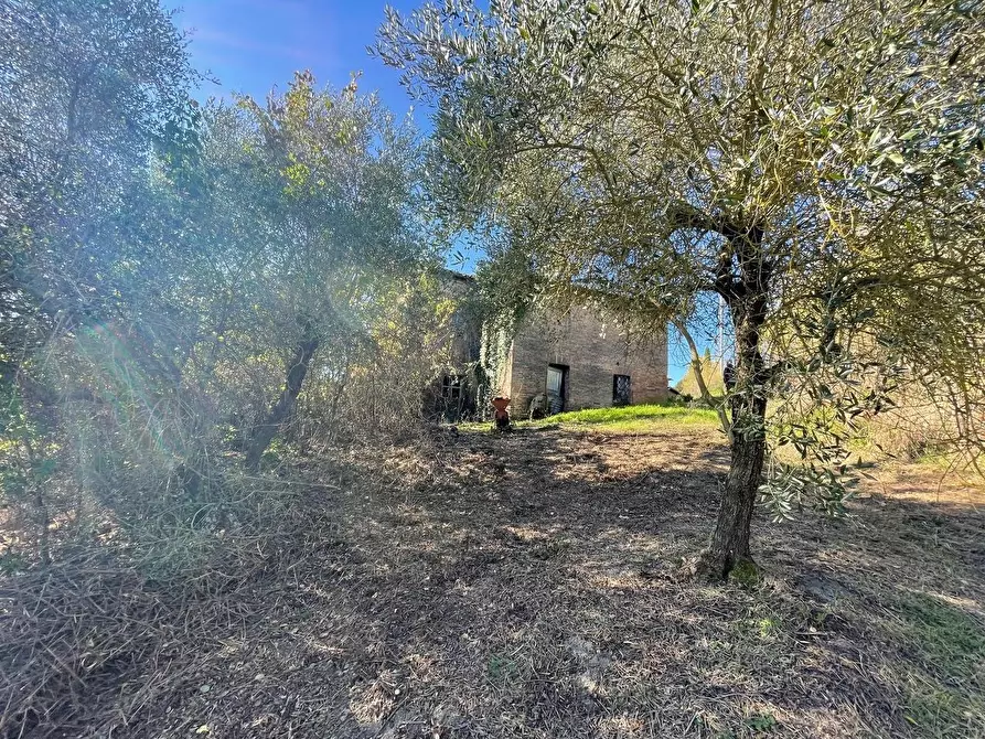 Immagine 7 di Casa colonica in vendita  a Siena