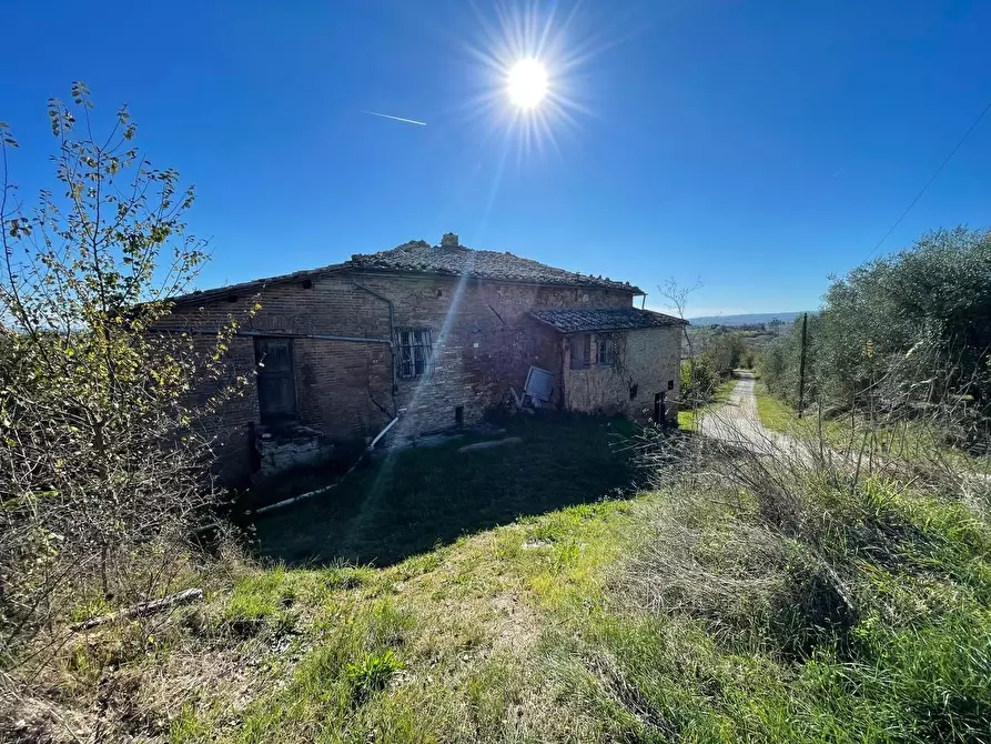 Immagine 1 di Casa colonica in vendita  a Siena