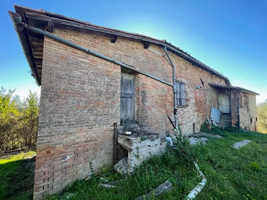 Immagine 25 di Casa colonica in vendita  a Siena
