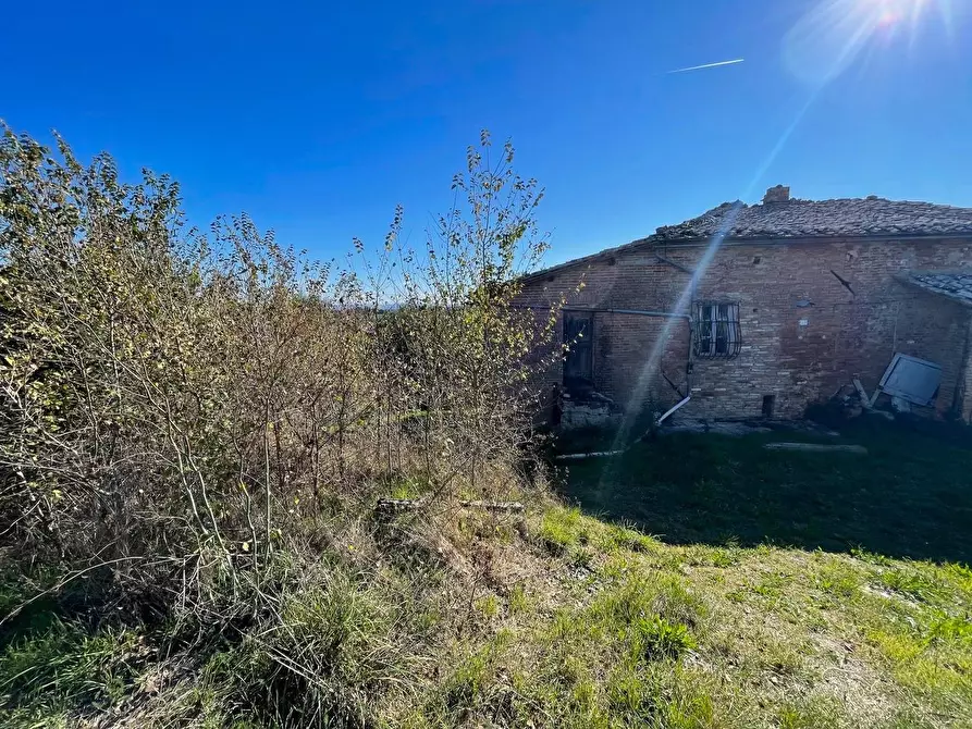 Immagine 29 di Casa colonica in vendita  a Siena