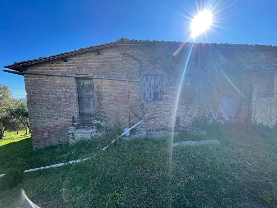 Immagine 24 di Casa colonica in vendita  a Siena