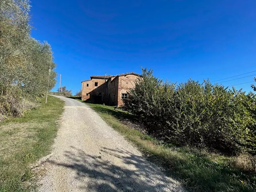 Immagine 17 di Casa colonica in vendita  a Siena