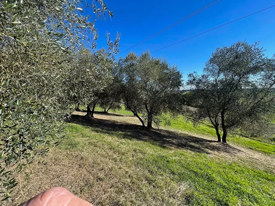 Immagine 9 di Casa colonica in vendita  a Siena