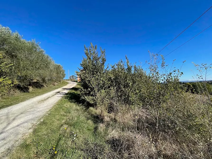 Immagine 15 di Casa colonica in vendita  a Siena
