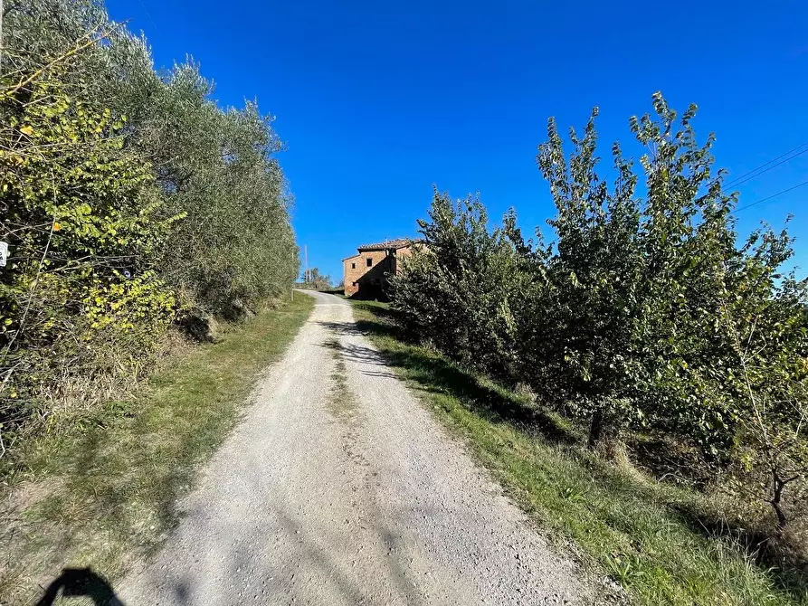 Immagine 16 di Casa colonica in vendita  a Siena