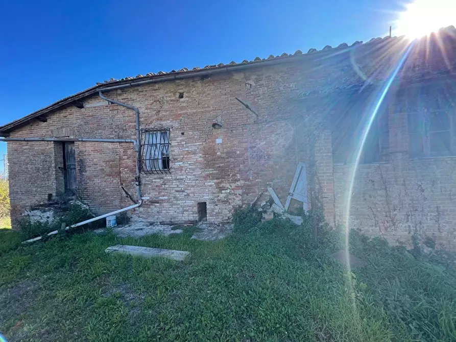 Immagine 23 di Casa colonica in vendita  a Siena