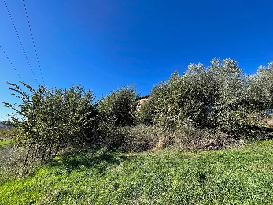 Immagine 10 di Casa colonica in vendita  a Siena