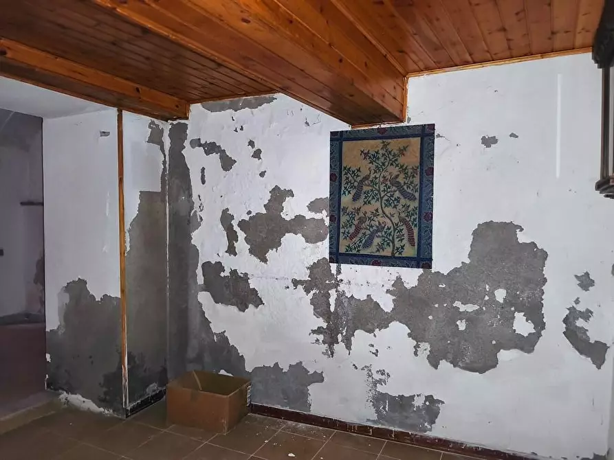 Immagine 21 di Terratetto in vendita  a Carrara