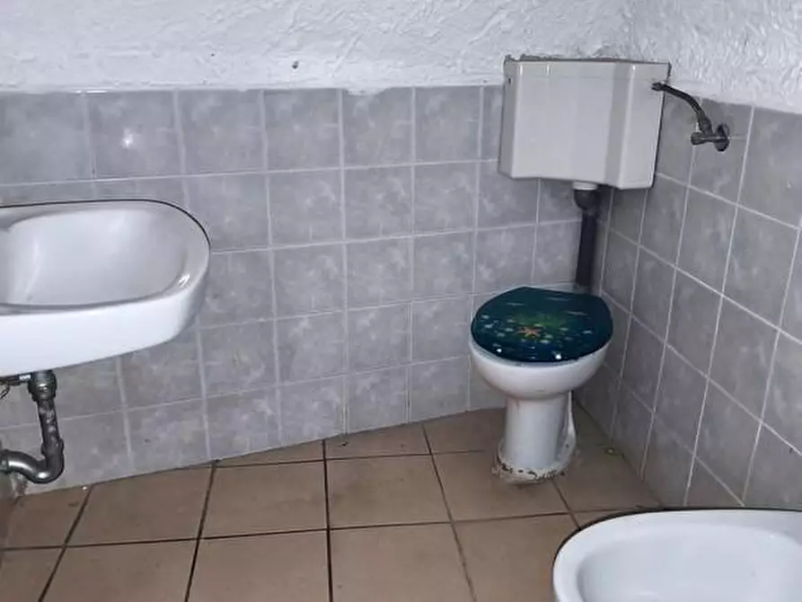 Immagine 6 di Terratetto in vendita  a Carrara