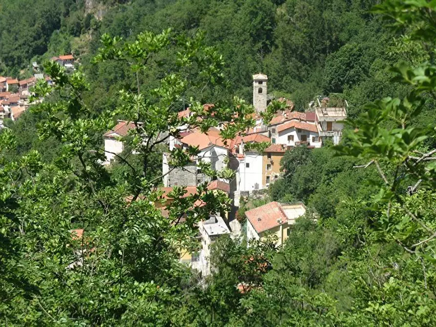 Immagine 17 di Terratetto in vendita  a Massa