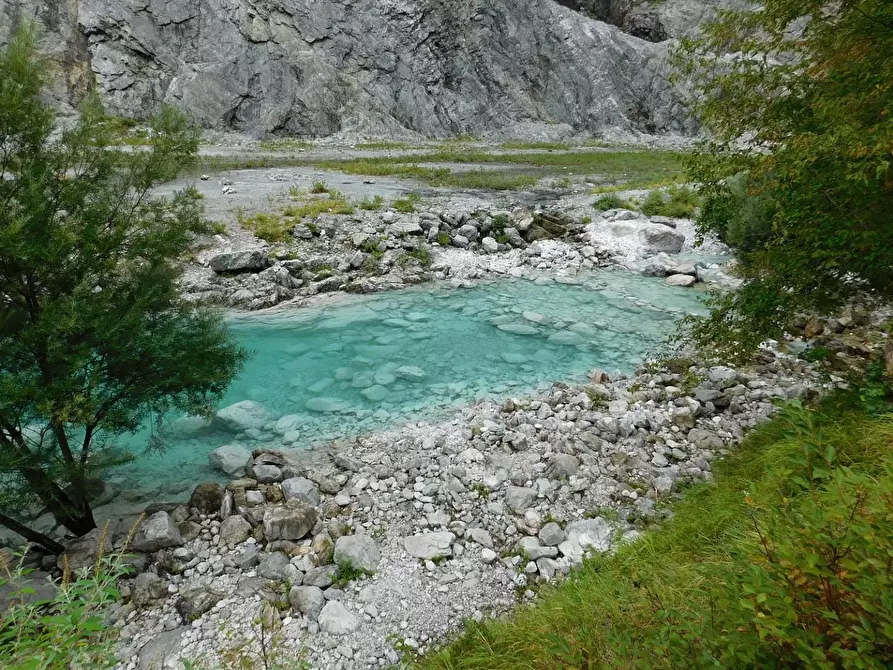 Immagine 20 di Terratetto in vendita  a Massa