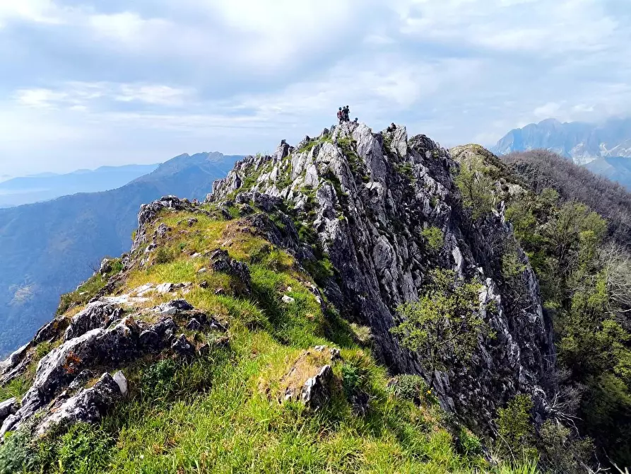 Immagine 18 di Terratetto in vendita  a Massa