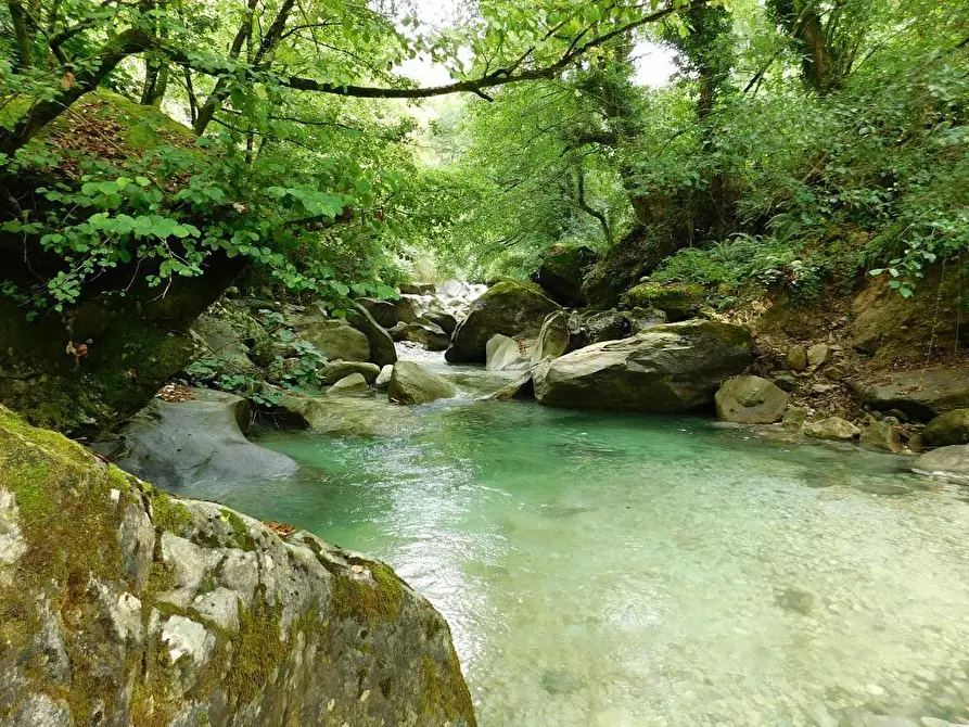 Immagine 19 di Terratetto in vendita  a Massa