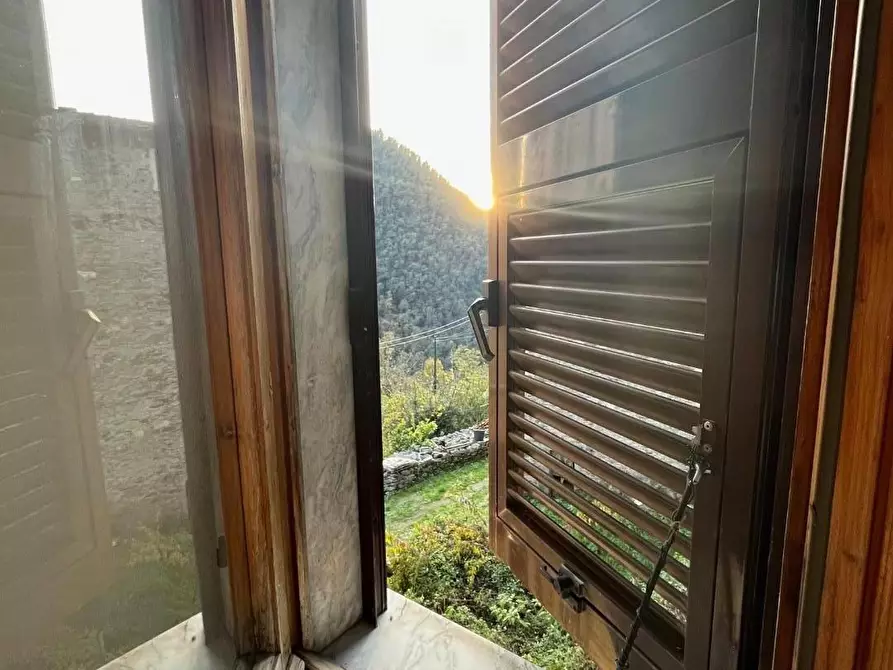 Immagine 8 di Terratetto in vendita  a Massa