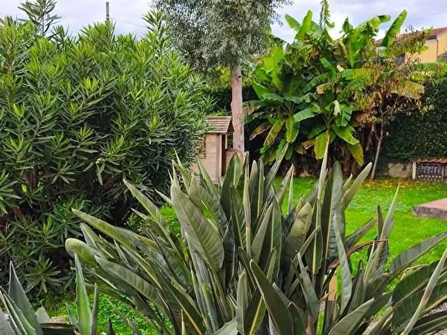 Immagine 21 di Casa indipendente in vendita  a Ameglia