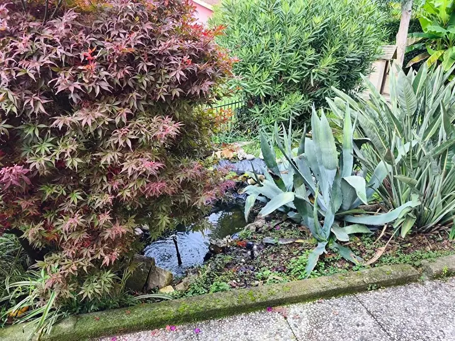 Immagine 20 di Casa indipendente in vendita  a Ameglia