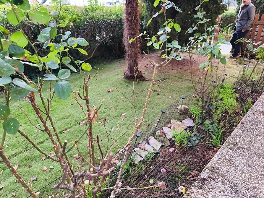 Immagine 23 di Casa indipendente in vendita  a Ameglia