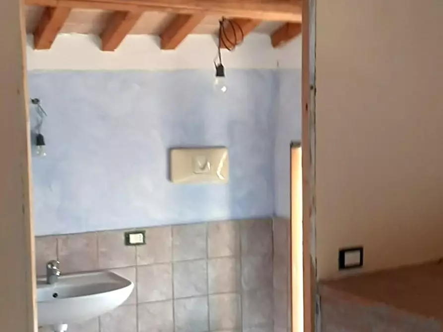 Immagine 10 di Terratetto in affitto  a Vicopisano