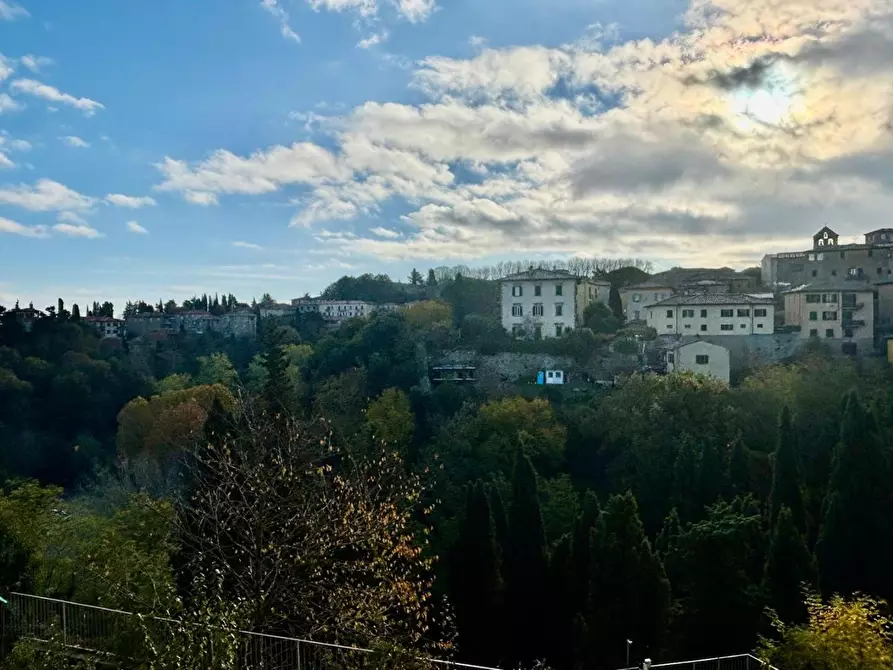 Immagine 4 di Terratetto in vendita  a Volterra