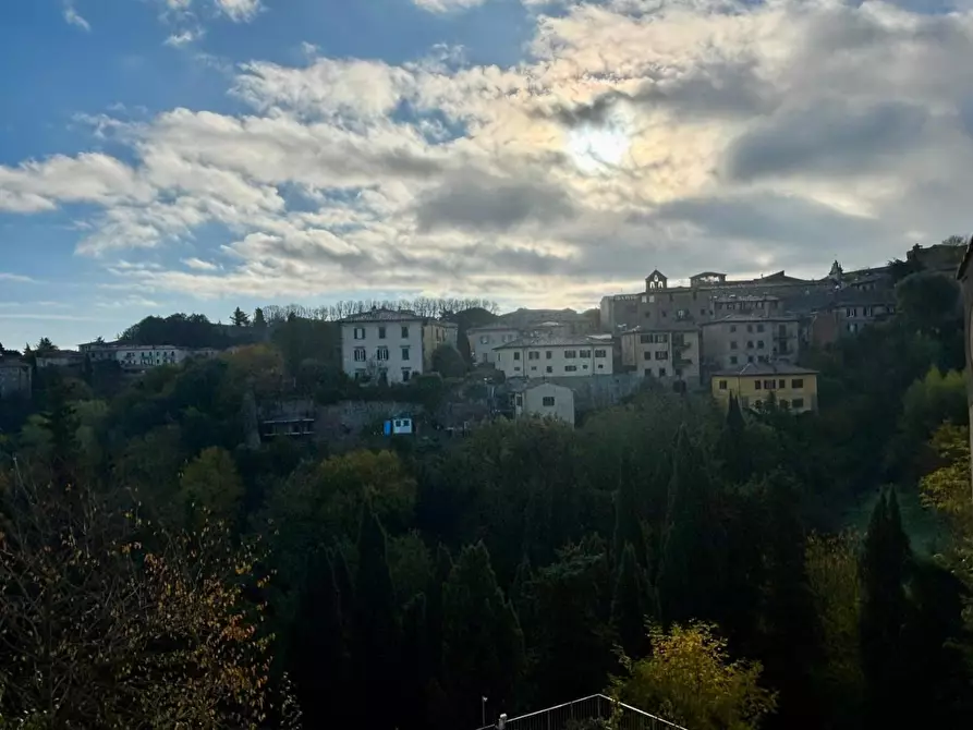 Immagine 3 di Terratetto in vendita  a Volterra