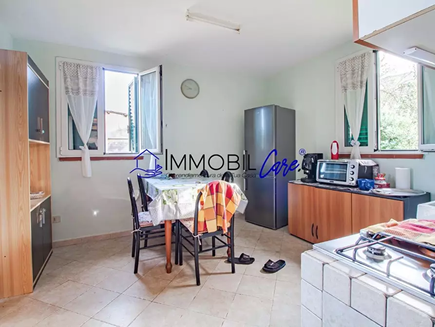 Immagine 8 di Terreno agricolo in vendita  a Livorno