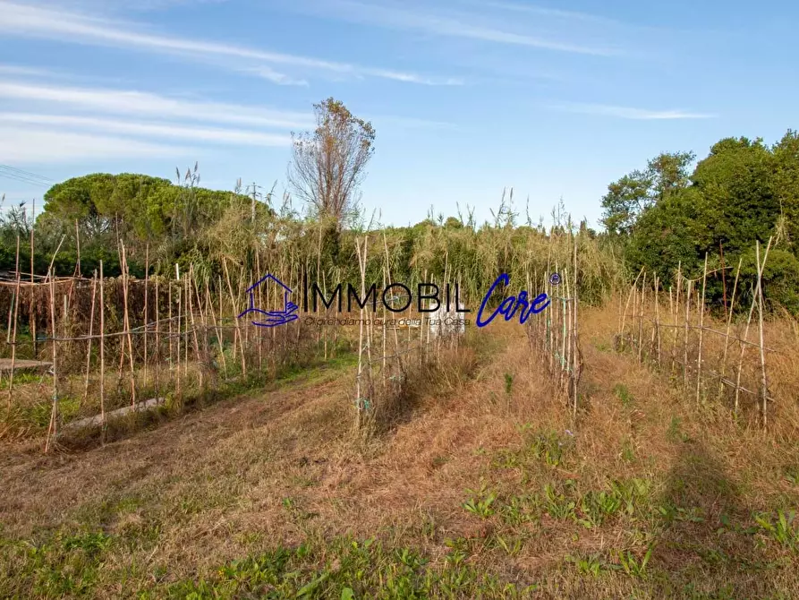 Immagine 24 di Terreno agricolo in vendita  a Livorno