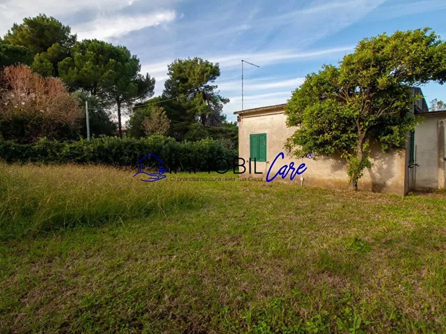 Immagine 22 di Terreno agricolo in vendita  a Livorno