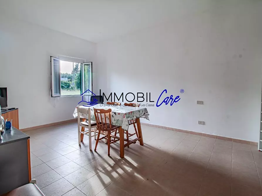 Immagine 17 di Terreno agricolo in vendita  a Livorno