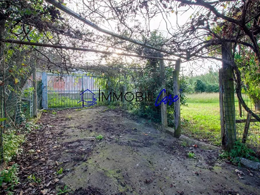 Immagine 20 di Terreno agricolo in vendita  a Livorno