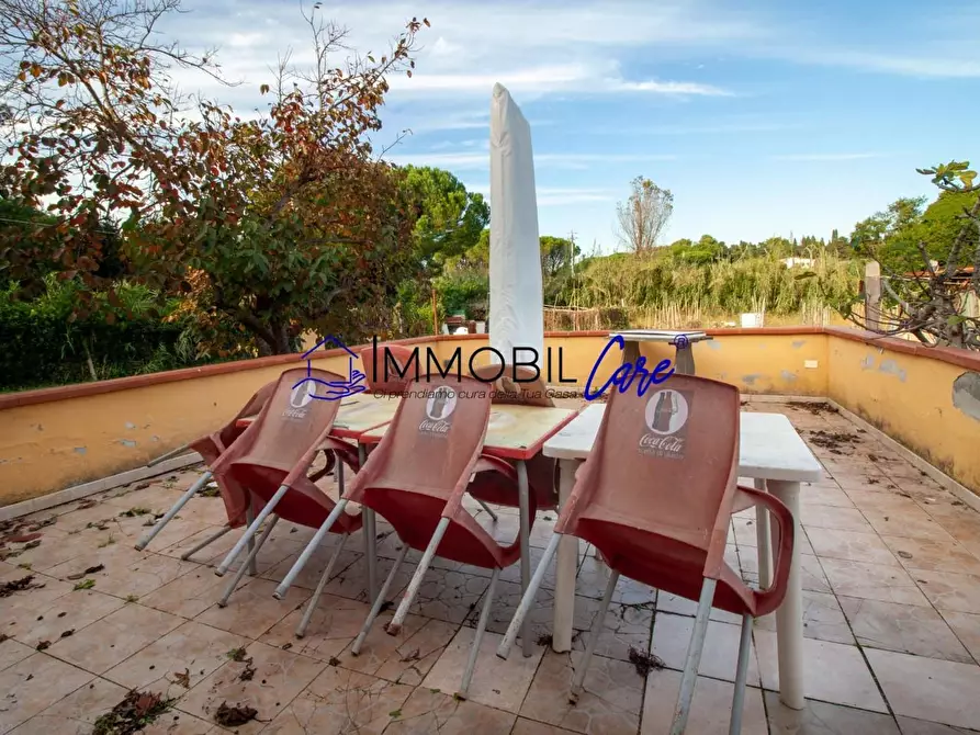 Immagine 4 di Terreno agricolo in vendita  a Livorno