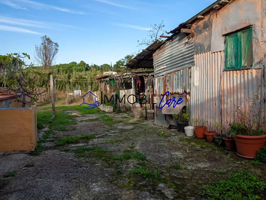 Immagine 26 di Terreno agricolo in vendita  a Livorno