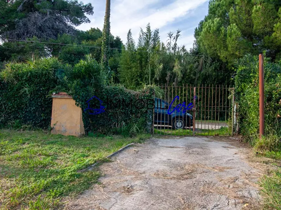 Immagine 23 di Terreno agricolo in vendita  a Livorno