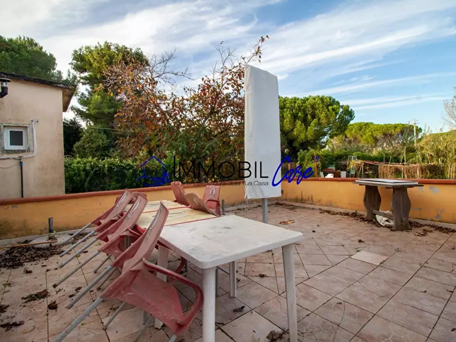 Immagine 3 di Terreno agricolo in vendita  a Livorno