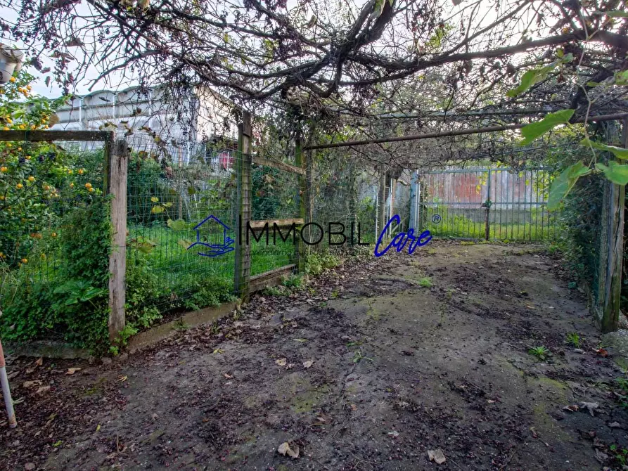 Immagine 19 di Terreno agricolo in vendita  a Livorno