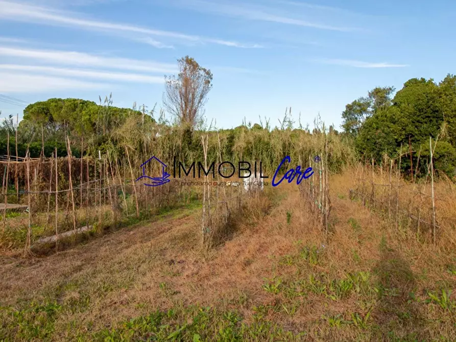 Immagine 18 di Terreno agricolo in vendita  a Livorno