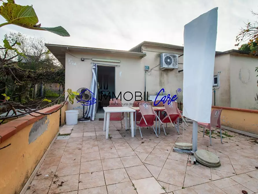 Immagine 5 di Terreno agricolo in vendita  a Livorno