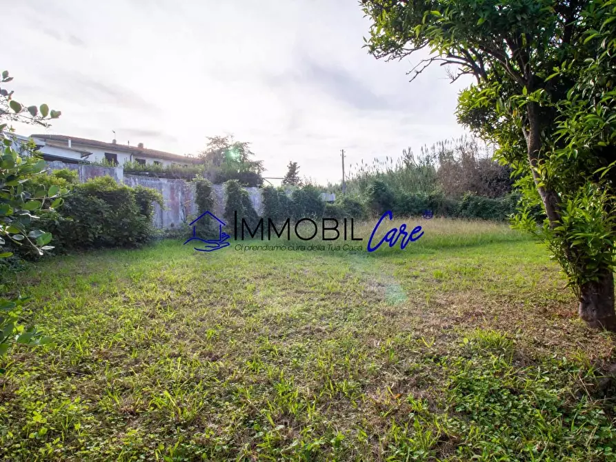 Immagine 21 di Terreno agricolo in vendita  a Livorno