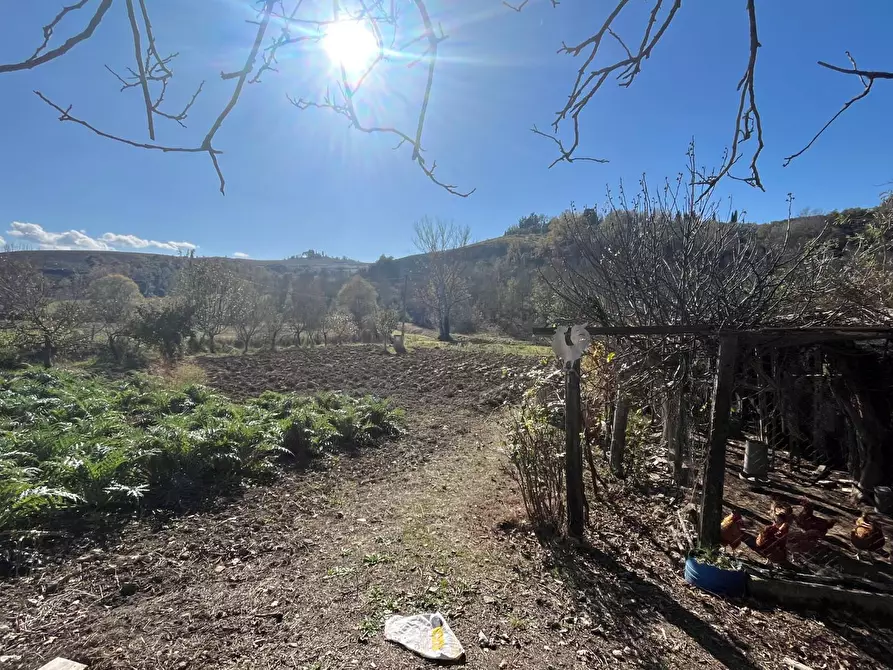 Immagine 2 di Terreno agricolo in vendita  a Asciano