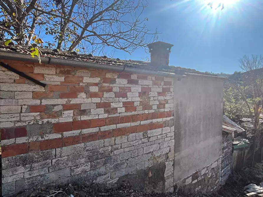 Immagine 3 di Terreno agricolo in vendita  a Asciano