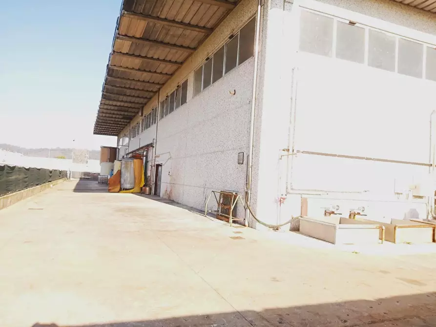 Immagine 2 di Capannone industriale in affitto  a Castelfranco Di Sotto