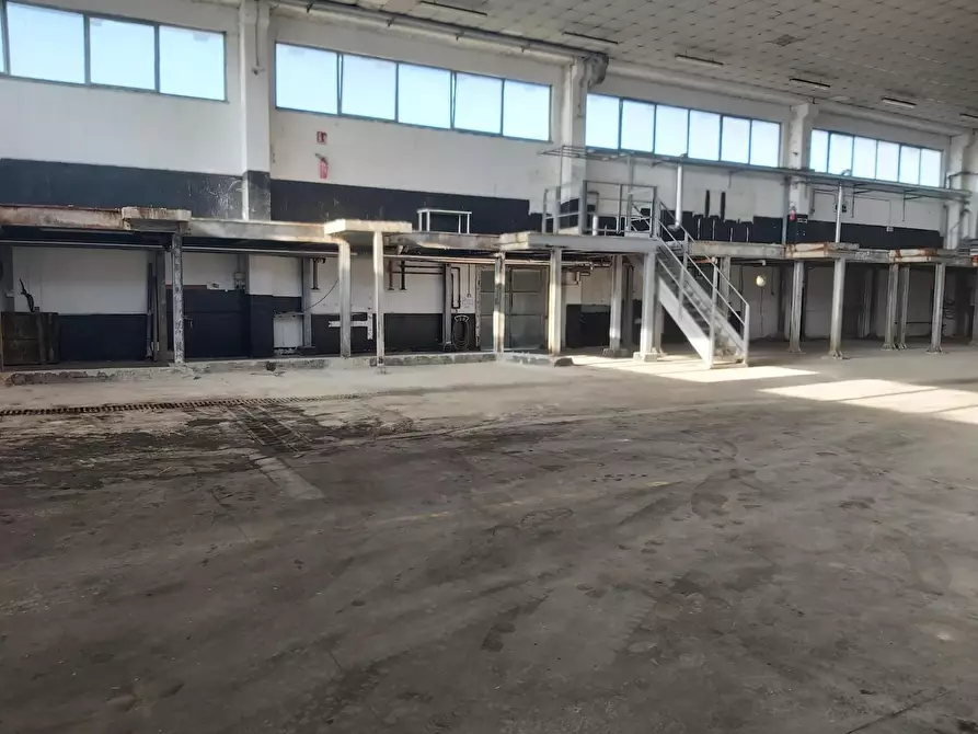 Immagine 4 di Capannone industriale in affitto  a Castelfranco Di Sotto