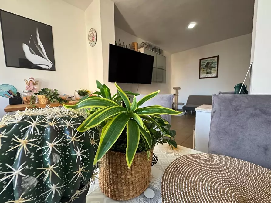 Immagine 6 di Villetta a schiera in vendita  a Viareggio