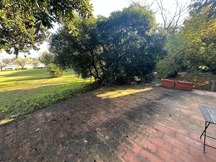 Immagine 36 di Terratetto in vendita  a Ameglia