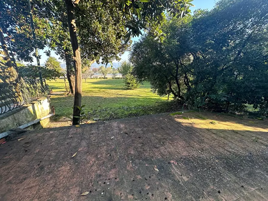 Immagine 37 di Terratetto in vendita  a Ameglia