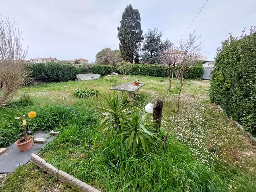 Immagine 33 di Casa bifamiliare in vendita  a Rosignano Marittimo